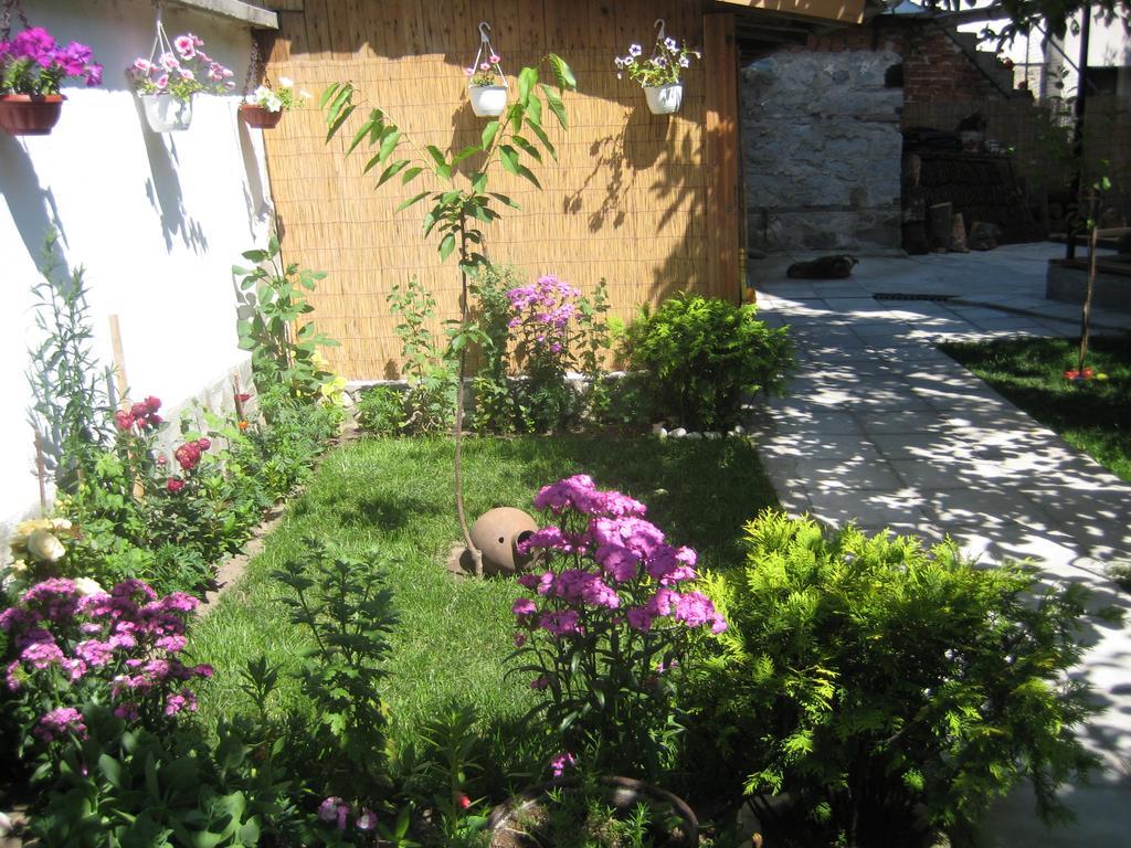 Aseva House Guest House Bansko Dış mekan fotoğraf