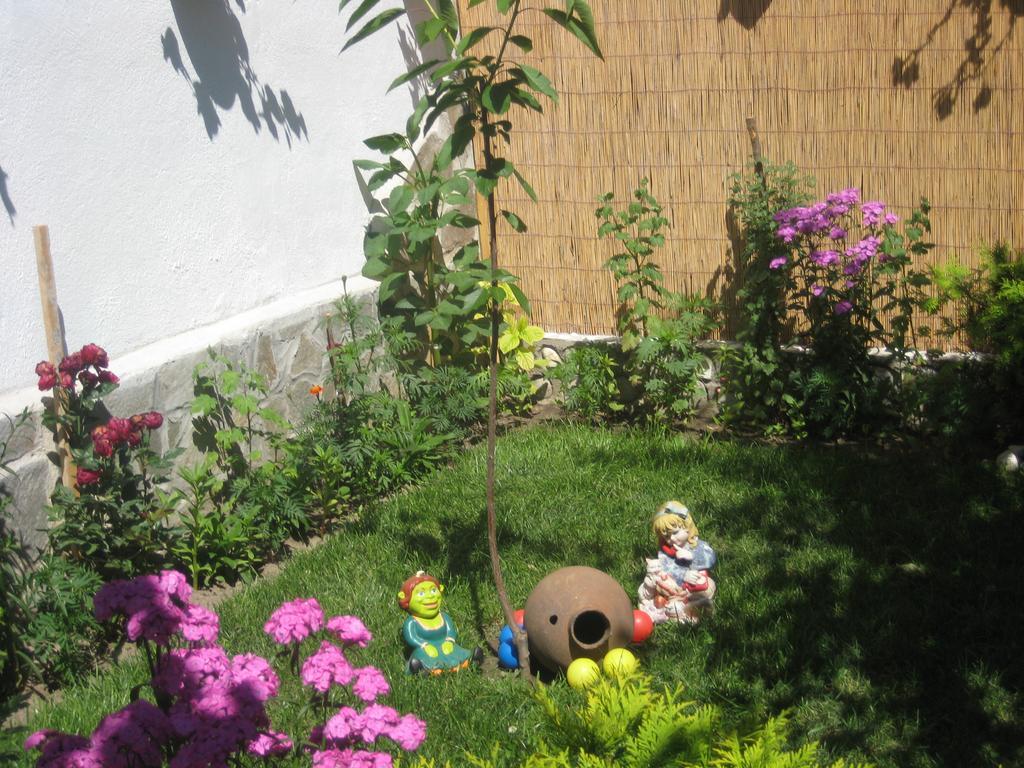 Aseva House Guest House Bansko Dış mekan fotoğraf