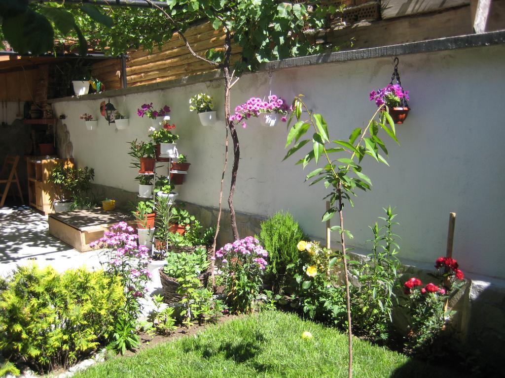 Aseva House Guest House Bansko Dış mekan fotoğraf