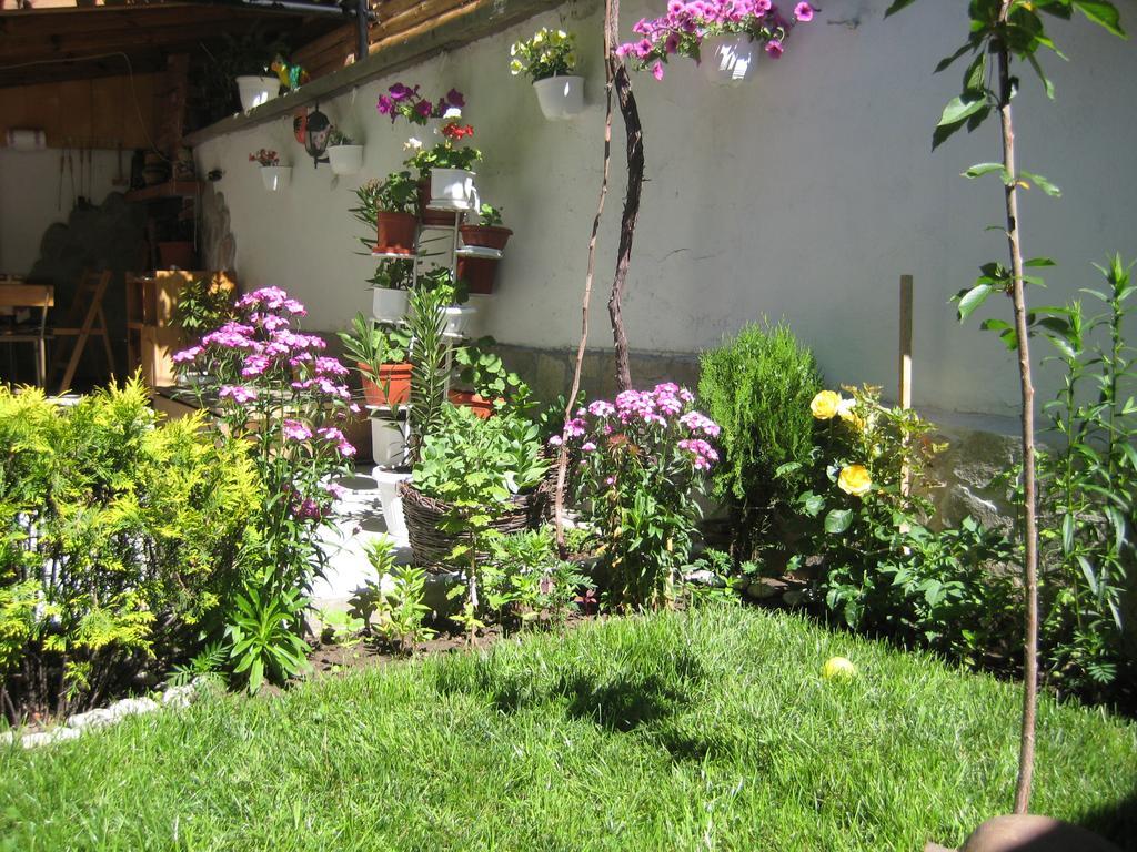 Aseva House Guest House Bansko Dış mekan fotoğraf