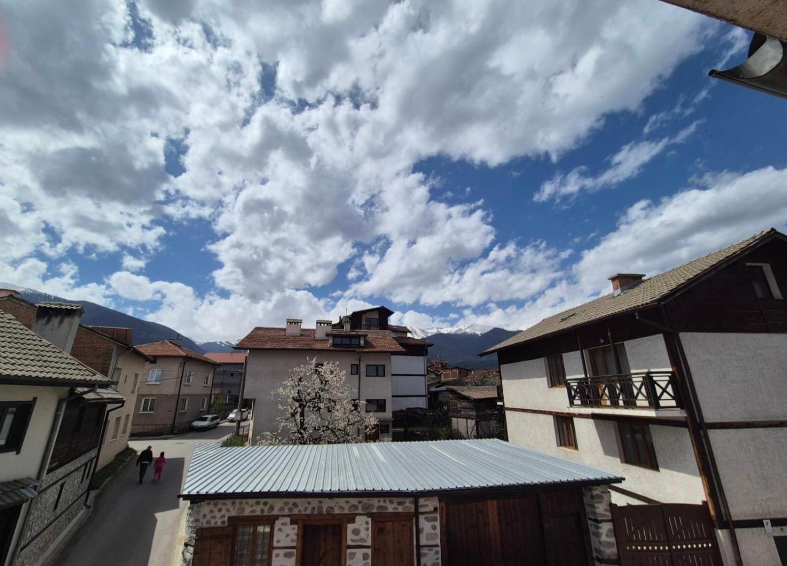 Aseva House Guest House Bansko Dış mekan fotoğraf