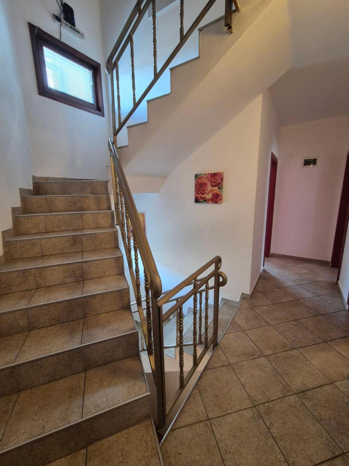 Aseva House Guest House Bansko Dış mekan fotoğraf